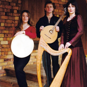 Paddy's Green Shamrock Shore