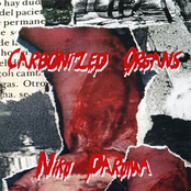 Carbonized Organs / Niku Daruma