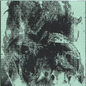 Psychotic Sufferance / Pure Noise