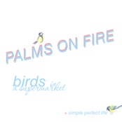 birds in a supermarket (single)