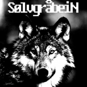 Untitled Album