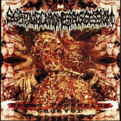 Worms Festering Cadaver