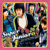 You Are The One by Super Junior