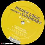 hidden logic presents luminary