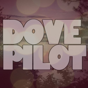 Dove Pilot