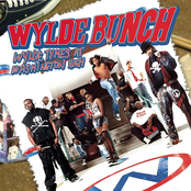 The Wylde Bunch