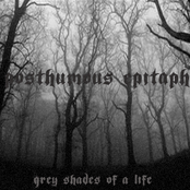 Grey Shades Of A Life