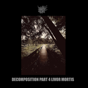 Decomposition Part 4: Livor Mortis