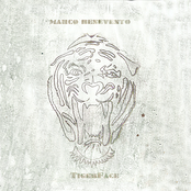 Marco Benevento Trio: TigerFace
