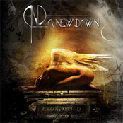 Victimless Tragedy by A New Dawn