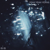 Down Boy by Yeah Yeah Yeahs