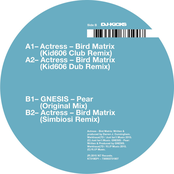 Bird Matrix (Remixes)