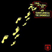 Tommy James and The Shondells: I Think We're Alone Now