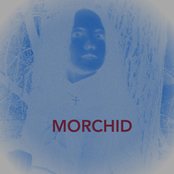 Jugular Blood Straw Deterrent