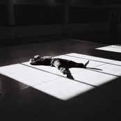 Introvert//Extrovert