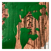 The Transparent Tape