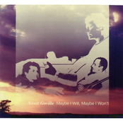 Maybe I Will Maybe I Won't