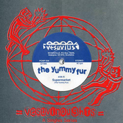 The Career Saver by The Yummy Fur