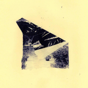 A Garden Dissolves Into Black Silk