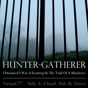 I Dreamed I Was A Footstep In The Trail Of A Murderer - Virtual 7"