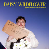 Christian Sparacio: Daisy Wildflower