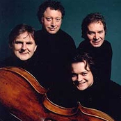 the medici quartet