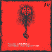 Symphony of Cats, Vol. 1 (Wills)