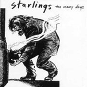 As Long As You Feel Worse by Starlings