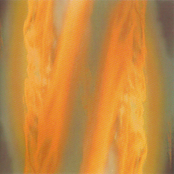 The First Lessons in New Era Time: The Universal Orchestra of Pituitary Knowledge Sing Om to the Disturbed Onlookers, Who Were Meisha and Robin Anyway?