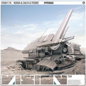 Hyenas / The Liquid (VSN017)