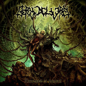 Conceived To Prevail (2010)