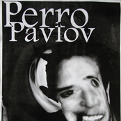 Perro Pavlov