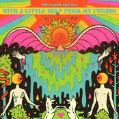 flaming lips & fwends
