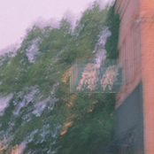 Emergency Vet Bill - EP