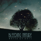 Like A Raindrop by Bleeding Nature