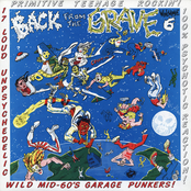 Back From The Grave Vol. 6