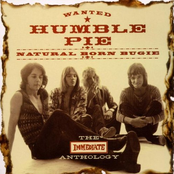 Natural Born Bugie by Humble Pie