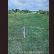 Life: Beautiful, But Heartless