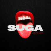 Megan Thee Stallion: Suga