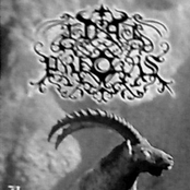 Heretic Mountain God