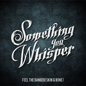 Feel the Danger (Skin & Bone) - Single