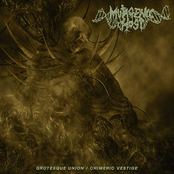 Grotesque Union / Chimeric Vestige