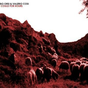 Pink Sheep Blood by Fabio Orsi & Valerio Cosi