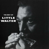 Off The Wall by Little Walter