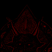 To Pray For Perpetual Violence