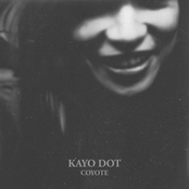 Kayo Dot: Coyote