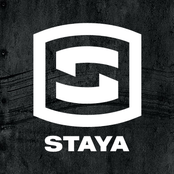 staya