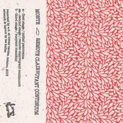 Remote Clairvoyant Continuum