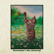 November's Hex (Undone)