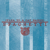 (Plea to a Cat Named) Spaghetti